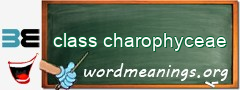 WordMeaning blackboard for class charophyceae